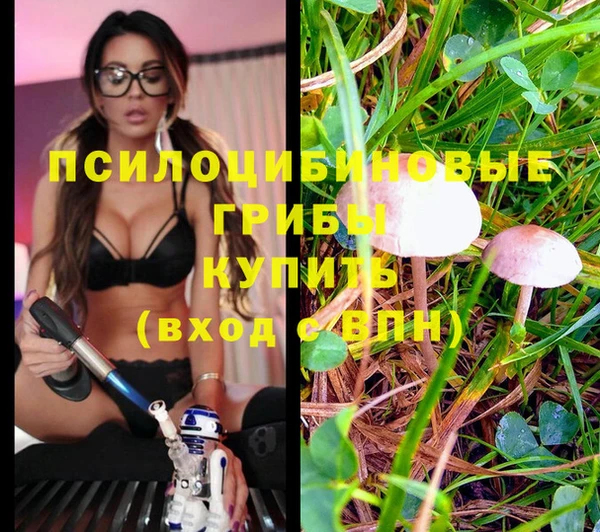 MESCALINE Богородицк